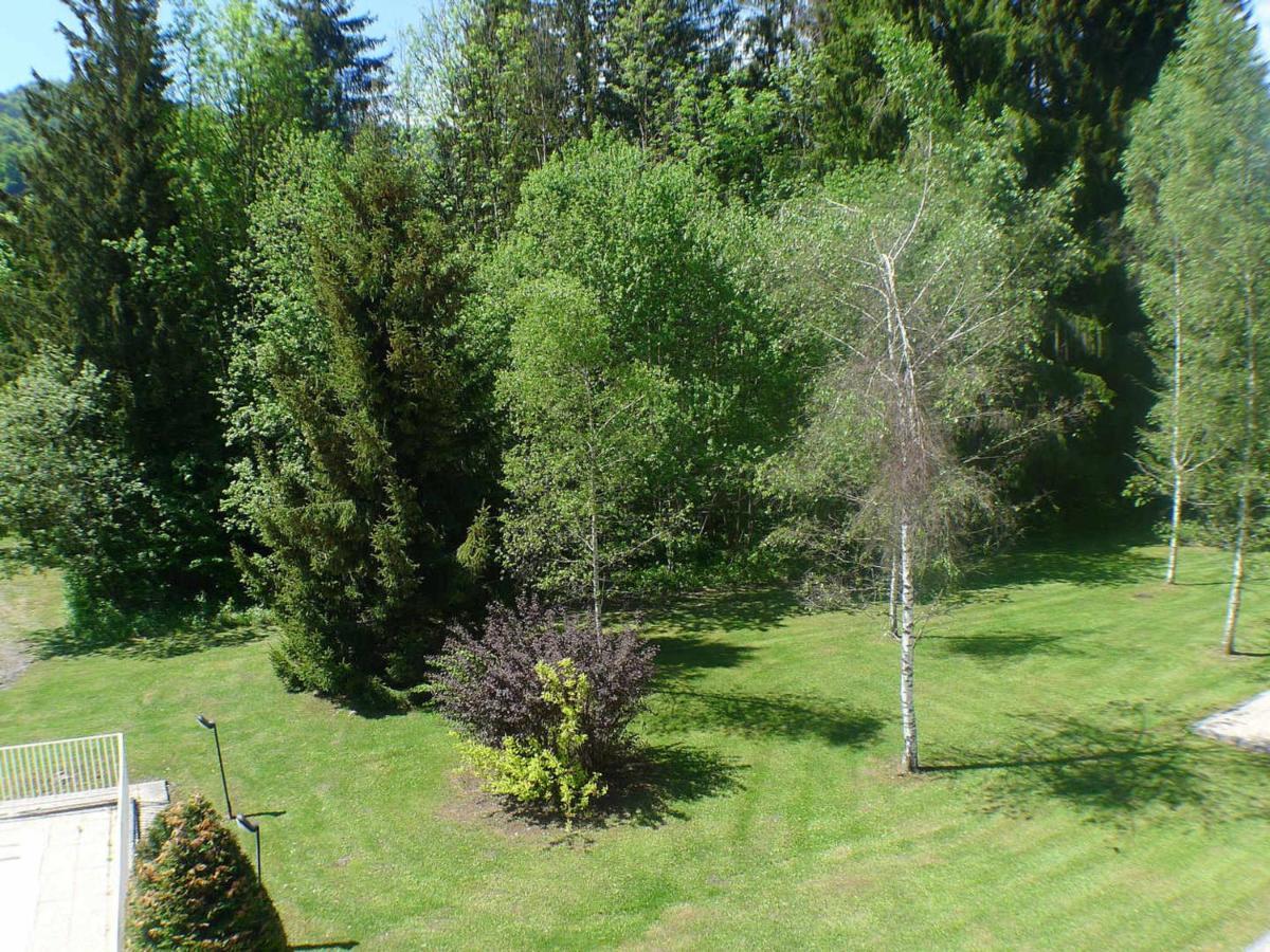 Appartement Cosy Avec Piscines, Parking Et Wifi A Samoens - Fr-1-629-32 Buitenkant foto